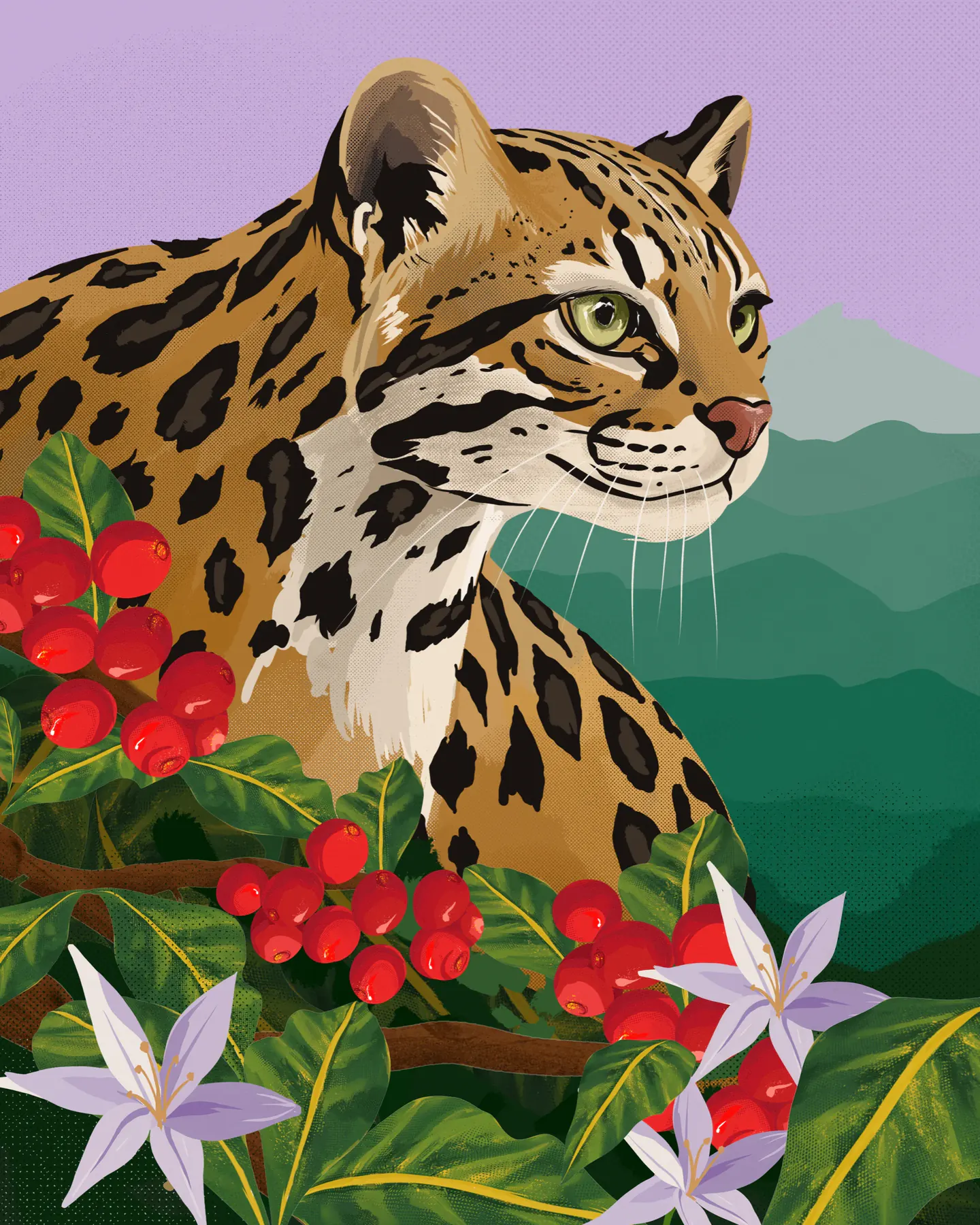 Ilustración de Belo Specialty Coffee: un tigrillo entre cerezas de café y flores