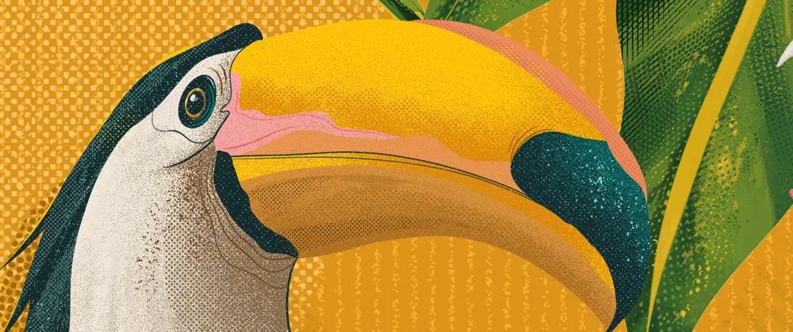 Ilustración de Belo Specialty Coffee: un tucán sobre una rama de café
