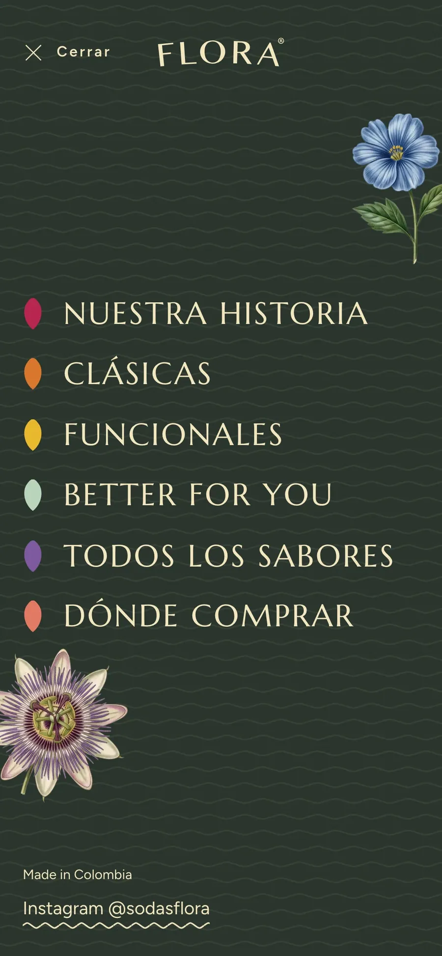 Menú de navegación en el celular