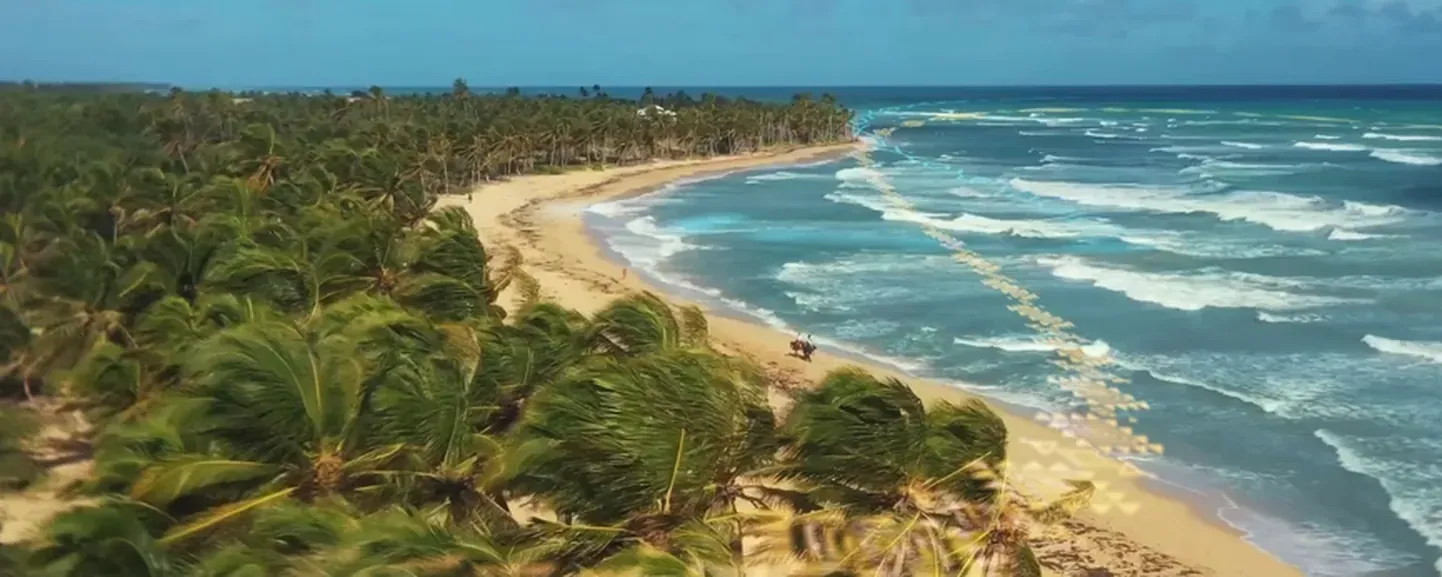Vista aérea de una playa del Caribe con palmeras y oleaje